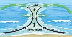 Rip Currents